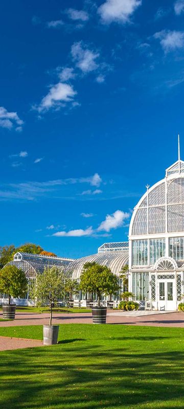 sweden gothenburg greenhouse at tradgardsforeningen istk