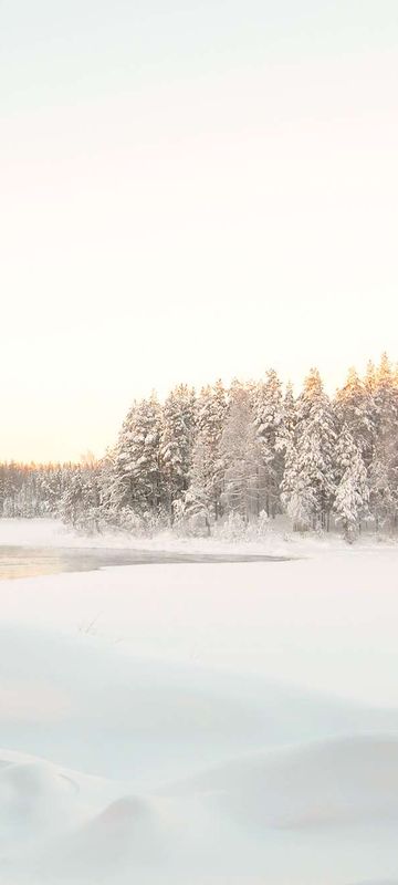 swedish lapland arctic retreat scenic surrounds