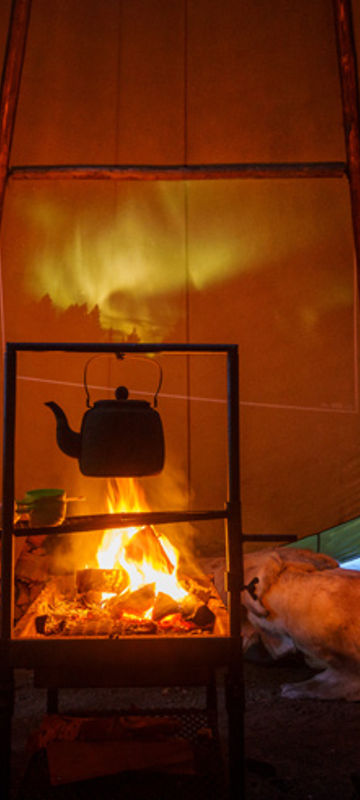 swedish lapland icehotel wilderness dinner inside lavvu rth