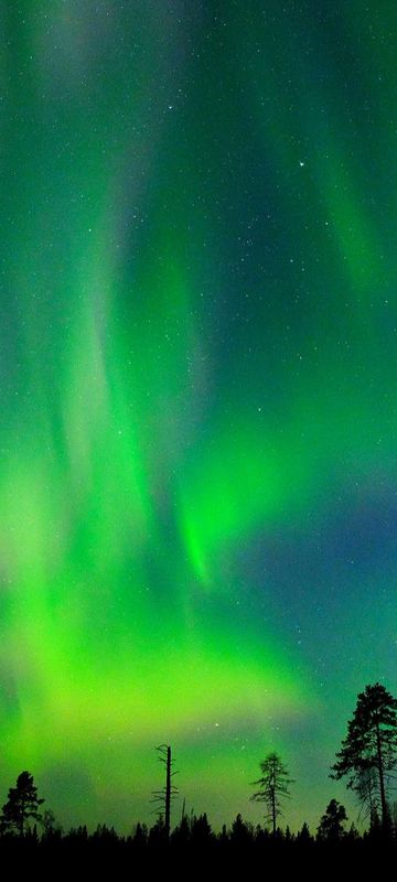 swedish lapland northern lights near brandon lodge