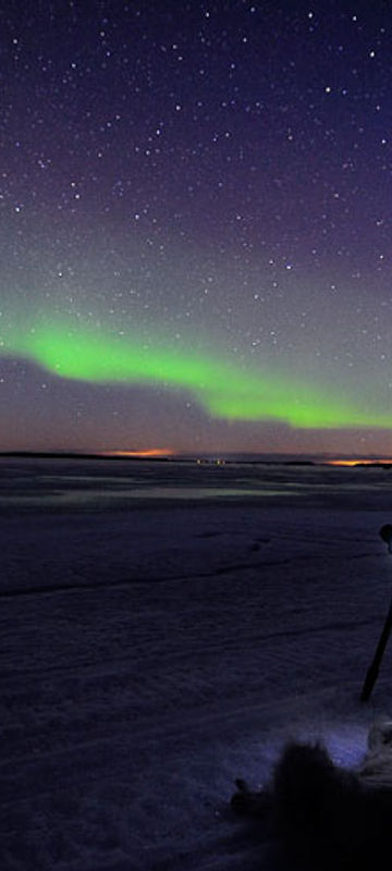 swedish lapland northern lights sled tour