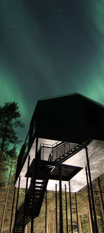 treehotel 7th room and aurora borealis