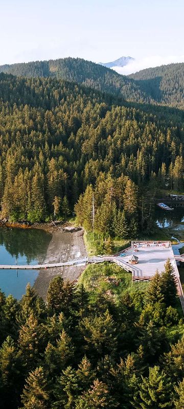 tutka bay lodge aerial view