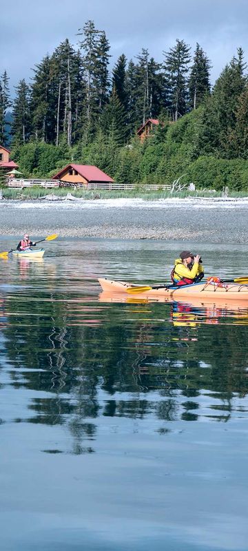 tutka bay lodge kayaking