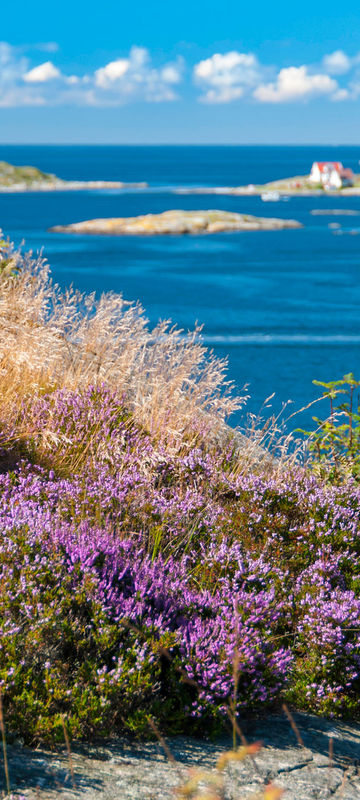 west sweden archipelago summer istk