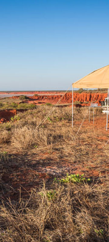 Cape Leveque