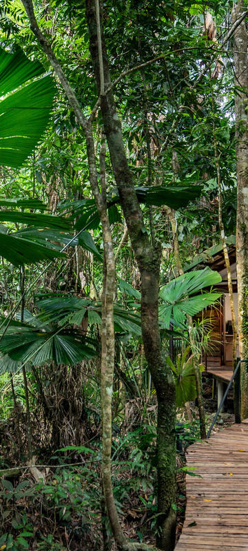 daintree-eco-lodge-cabin-exterior