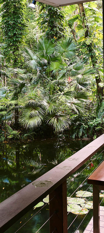 daintree-eco-lodge-restaurant-view