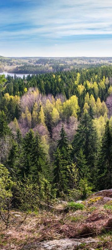 Explore abundant forests and lakes on a Finland holiday