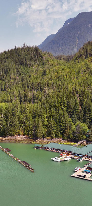 knight-inlet-lodge-aerial-view-forest