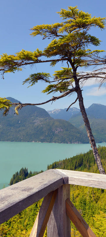 knight-inlet-lodge-view-from-balcony