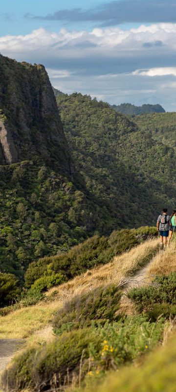 new-zealand-hiking-waitakere-ranges-auckland-tnz