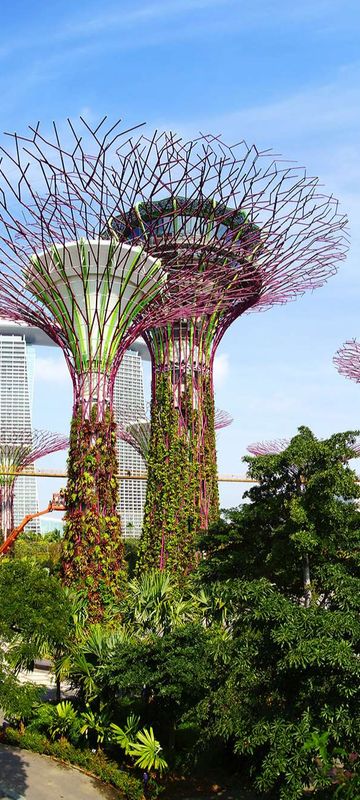 singapore-supertree-gardens-by-the-bay-daytime-adstk