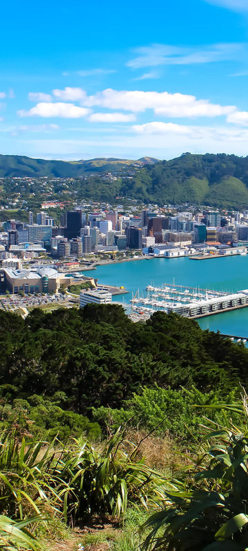 new-zealand-wellington-view-from-mount-victoria-istk