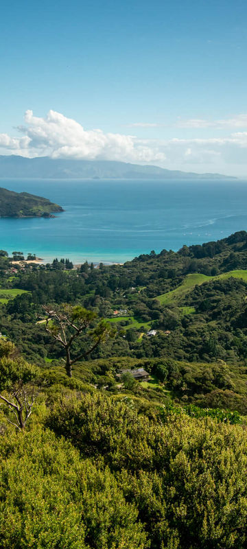 new-zealand-great-barrier-island-astk