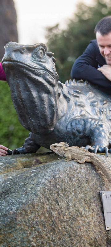 new-zealand-henry-the-tuatara-southland-museum-and-art-gallery-sam-deuchrass