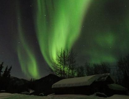 alaska coldfoot aurora jack reakoff