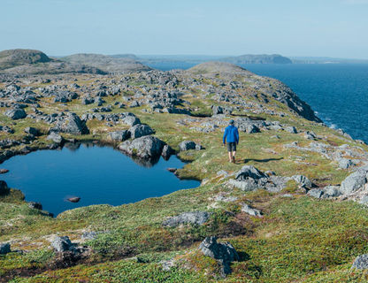 canada newfoundland quirpon island man wandering gte