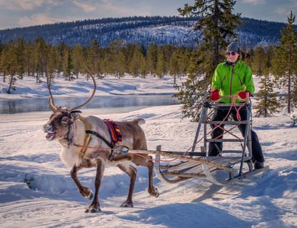 swedish lapland reindeer sledding at icehotel rth