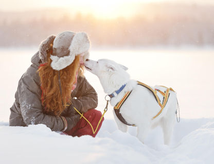 swedish-lapland-woman-bonding-with-sled-dog-vs
