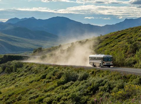 Guided tour, Denali National Park