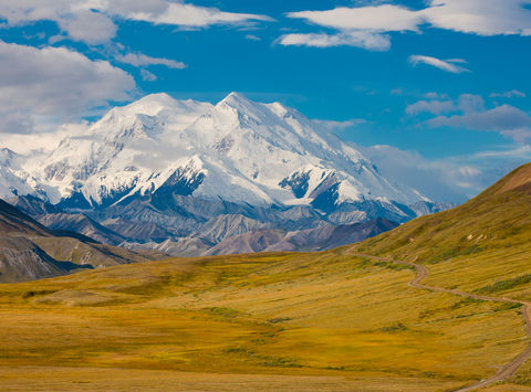 Denali National Park