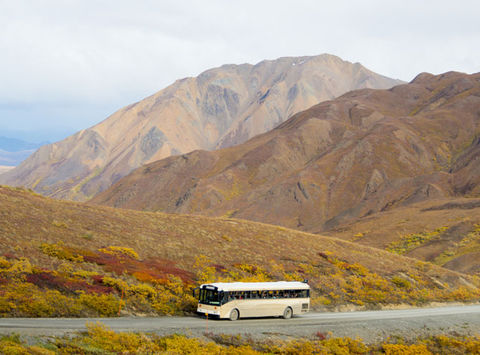 alaska denali national park bus istock