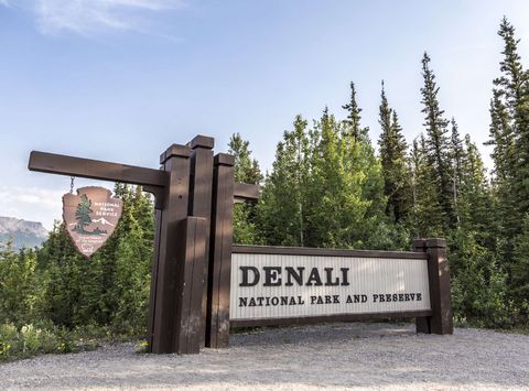 Denali National Park