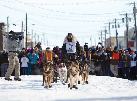 alaska iditarod sled dog race finish nome atia