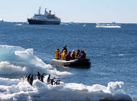 antarctica peninsula paulet island adelies and zodiac qe