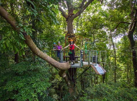 australia queensland daintree np jungle surfing1