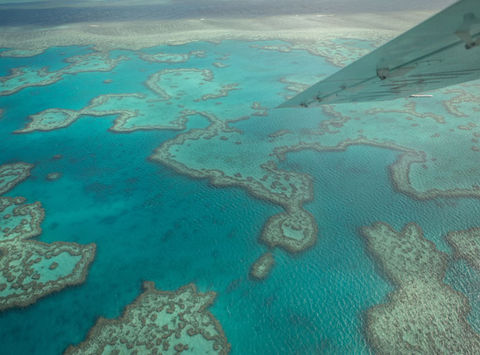 australia queensland seaplane flying over reef is