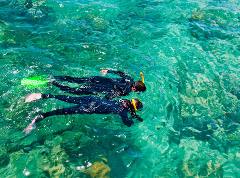 australia queensland snorkelling over reef as