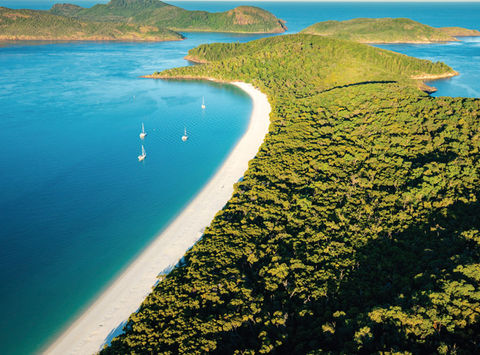 australia queensland whitehaven beach aerial view