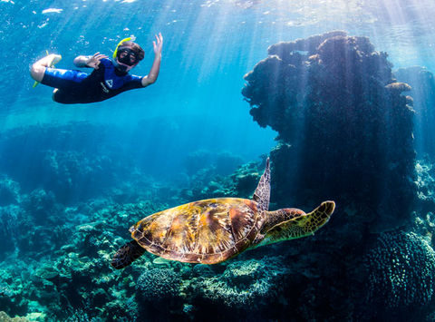 australia wa coral coast ningaloo reef snorkelling twa