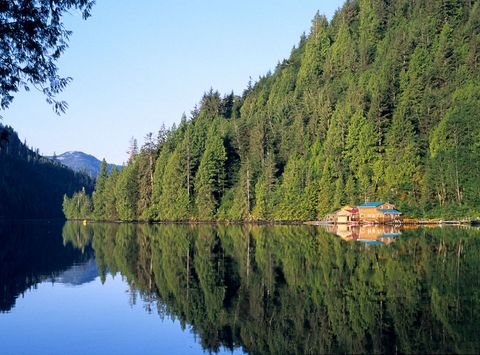 british columbia great bear lodge reflection