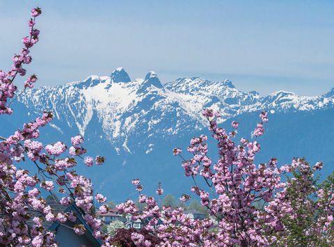 Stunning Spring Images from Around the World | Discover the World