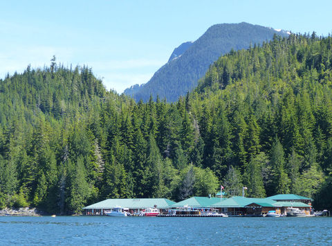 canada knight inlet lodge bc ll