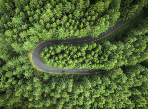 canada road winds through pine trees drone view istk