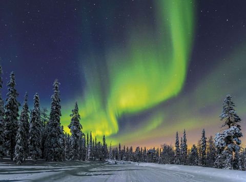 finland aurora over forest istk