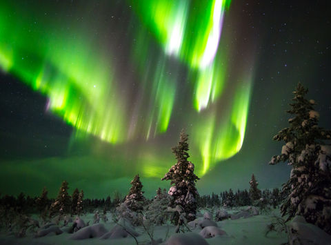 The aurora dances over saariselka region in Finnish Lapland