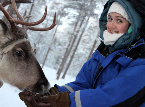 finland lapland feeding reindeer istk