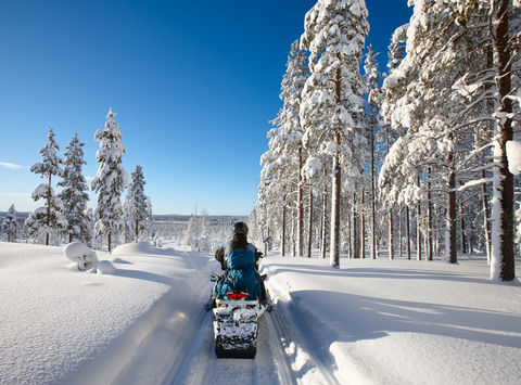 finland lapland snowmobile taiga sunshine istk