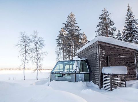 finland ranua arctic fox glass igloo