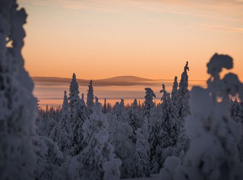 finnish lapland beautiful snow covered in winter light vf