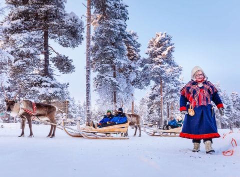 finnish lapland inari reindeer sledding with sami