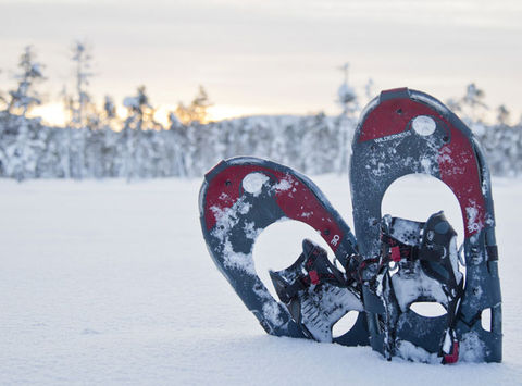 finnish lapland nellim snowshoes