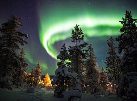 finnish lapland saariselka aurora over forest istk