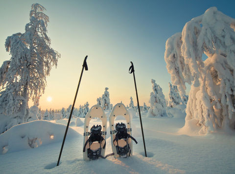 finnish lapland winter sun snowshoes vf