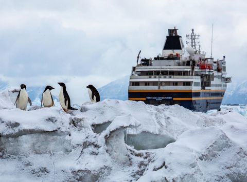 heritage adventurer cape adare penguins 2000x1333 Compressed